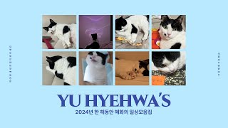 유혜화 조각모음(2024년)