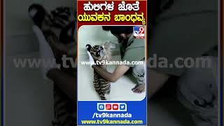 ಹುಲಿಗಳ ಜೊತೆ ಯುವಕನ ಬಾಂಧವ್ಯ #Tiger #Tv9S