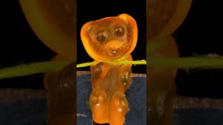 Gummy Bear Execution #closeup #macro #amazing #foley