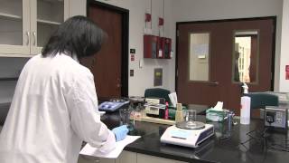 Weighing Liquids