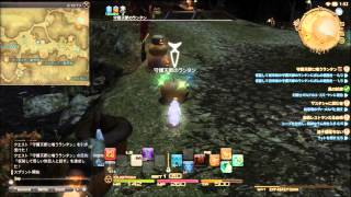 【PS3】FF14 新生エオルゼア ～守護天節～　ハロウィンイベント