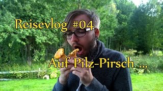 Reisevlog #04 – Pilzjagd im schwedischen Wald