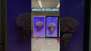 Human Size 86inch 3D HOLOBOX