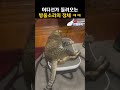 어디선가 들려오는 방울 소리의 정체 ㅋㅋ