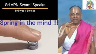 Spring in the mind | Sri APN Swami Speaks - 193