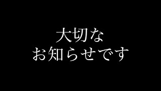 【ご報告】大切なお知らせ。新しい家族が増えました。【マンチカンの赤ちゃん】