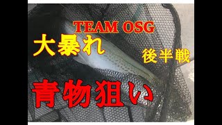 【海釣り情報】伊勢湾で暴れまくるTEAM OSG！後半戦