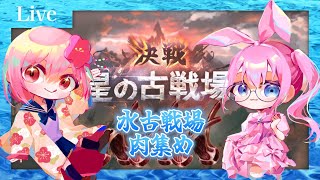 【#グラブル】風古戦場予選2日目！へぽぴんずの2人で必死に肉集め！【#vtuber /#ひなあられch 】