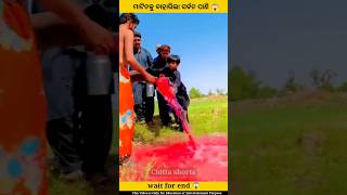 ମାଟିତଳୁ ବାହାରିଲା ସର୍ବତ ପାଣି 😱 | Odia Story | Odia Gapa | #shorts #shortsviral