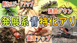 [ザ・アンツ]特化アリ|青の発展型アリは使えるアリが豊富！