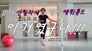 요가 선활자세 발레 애튀튜드 (feat.나만의 라인잡기)