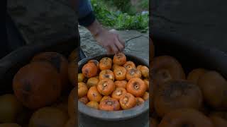 How To Make 500 Chinese Persimmon Turn into A Rare Aged Sour White Wine Vinegar | Episode 1/10 #asmr