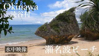 瀬名波ビーチ【沖縄県/読谷村】水中散歩