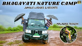 Malabar Trogon at Bhagavathi Nature Camp | Bird Watching \u0026 Trekking | Neelakurinji | Kudremukh Peak