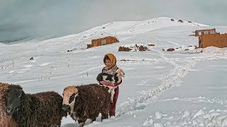 How Nomads Survive Harsh Winters in the Mountains