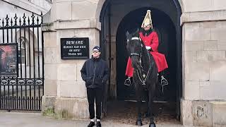 ARNI THE TOURIST HATER PATIENTLY  WAITING TO BITE #horseguardsparade