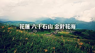 [ 旅行記憶 / 台灣 ] 花蓮 六十石山 金針花季