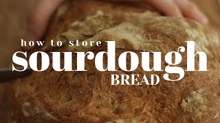 Sourdough bread storage hacks