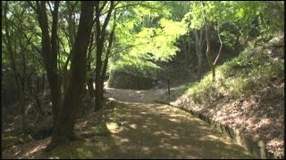 C412 近つ飛鳥から西行の弘川寺ウォーキング-2 ＜近つ飛鳥風土記の丘ゲート～第1展望台 1/2＞