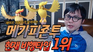 [틀려서 죄송합니다.] 메가피죤투 가치 + 카운터 포켓몬 (22년 4월기준 레이드 성능, PvP성능)