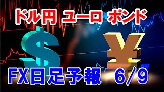 FXデイリー日足予報　　　2023年6月9日　   Daily Forex Forecasts , Tecnical Analysis and Signals