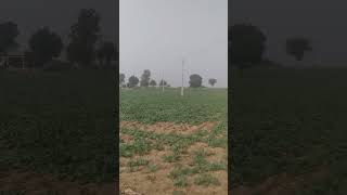 #shortvideo #plzdosuporrtmychanlfriends #farming  🙏🙏🙏🙏🙏🙏