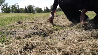 Families frustrated by difficulties locating graves at Mount Hope Cemetery