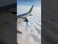 snake climbing the plane wing 😱 snake on aeroplane snake python shorts