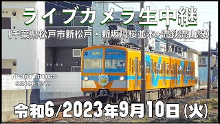 【ライブカメラ】臨時ライブカメラ生中継／千葉県松戸市新坂川桜並木／2024年9月10日【桜並木・流鉄流山線リアルタイム配信・ライブトーク兼用】