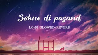 Sohne di pasand l Lo-fi slowed reverb l jaani Tere Naa l Shera Dhaliwal Mix.