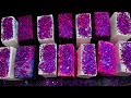 Plain Chalk and Purple glittery Dusty Gym Chalk Reforms | ASMR Chalk Crush Sounds