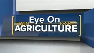 Eye on Agriculture Farm Bill