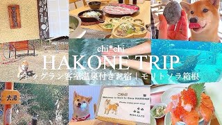 【箱根１泊2日】旅行vlog🚗🐶ドッグランとお食事が最高なプライベートヴィラ｜モリトソラ箱根♨️犬連れOK観光地巡り🐠 Hakone trip vlog