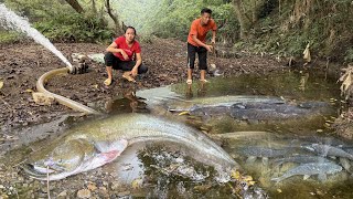 Fishing video, Harvesting fish | Skillfully use the water pump and catch many fish