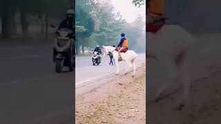 Horse carriage and 🐎 horse riding in Kolkata #shorts