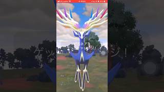 ポケモンGOレイドバトルゼルネアスゲットできたかな？ #ポケgo #pokemongo #ポケモンgo #pokemon #ポケゴー #ポケモン #ゼルネアス   #shorts #short