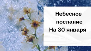 Небесное послание на 30 января. Варианты.