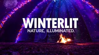 WINTERLIT: Nature Illuminated