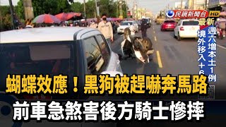 黑狗被趕嚇奔馬路　白車急煞害騎士慘摔－民視新聞