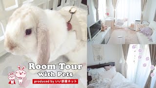 【ルームツアー】うさちゃんと暮らす柔らかい雰囲気のお部屋｜ロップイヤー｜1LDK 30㎡（いい部屋ペット No.005）