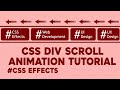 CSS Div Scroll Animation Tutorial. #css#html #webdevelopment #frontend #animation #csseffects