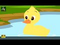 البطة القبيحة ugly duckling in arabic @arabianfairytales