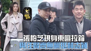 張柏芝拖行李盲走東區！摸上林志穎超跑 | 台灣蘋果日報