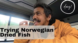 Wasn't Expecting That | Day 7 - Lofoten Islands. Norway
