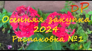 Осенняя закупка 2024 г. Распаковка 1-ой посылки из ООО \