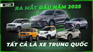 6 chiếc xe \