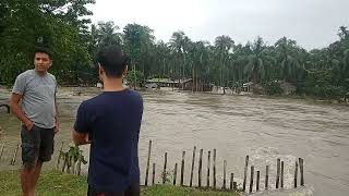 বজালীৰ মেধিকুছিত মঠাউৰি চিঙাৰ দৃশ্য