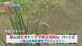 『みっけ！さんいんSDGs』9/11（日）田んぼビオトープで学ぶSDGs パート２