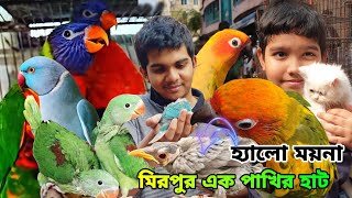 মিরপুর 1 পাখির হাটে দেশি-বিদেশি অনেক ধরনের পাখি এসেছে/কম দামের সেরা পাখি কিনেন এখন/