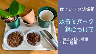 2021年11月4日　【はじめての胡蝶蘭】シリーズNo.6  水苔とバークと鉢の相性　・鉢の種類　・その他の植込み材料　・パンダ🐼さんの花芽🌸